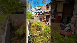 Shocking Lawn Transformation in 4 Hours | You Won’t Believe What He Found! 