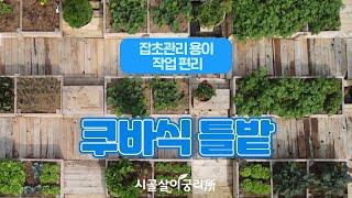 자연의철학자들 쿠바식 틀밭