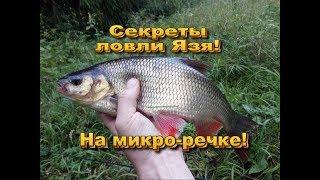 Ловля Язя на микро-речке на необычную снасть!