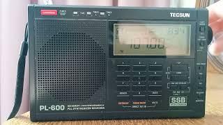 Tecsun pl-600