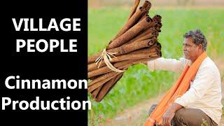 Village People; Cinnamon production: HD VIDEO (2019)