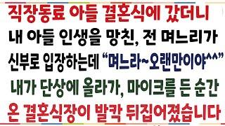 (반전신청사연)직장동료 아들 결혼식에 갔더니, 내 아들 인생을 망친 전 며느리가 신부로 입장하는데! 내아들 대신, 내 모든걸 걸고 되갚아줬습니다[신청사연][사이다썰][사연라디오]