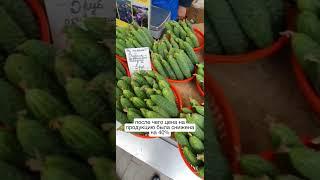 Огурцы по 40 рублей за кило продавала семья на Комаровском рынке / #новостибеларуси