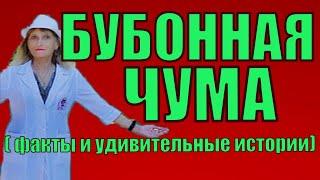 Бубонная чума ( факты и истории о бубонной чуме)