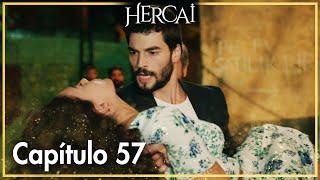 Hercai - Capítulo 57