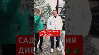 Сад ДМИТРИЯ ДИБРОВА: идеи бьют ключом!