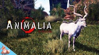 THE KUDU HAS ARRIVED IN ANIMALIA SURVIVAL!