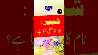 Shabbir name meaning in urdu | #Shabbir #shots #youtubeshorts
