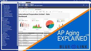 AP Aging EXPLAINED | Blue Link ERP