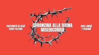 ore 14:00 - Coroncina alla Divina Misericordia - Fraternità di Gesù Buon Pastore - 27/09/2024