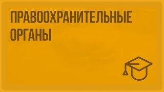 Правоохранительные органы. Видеоурок по обществознанию 9 класс