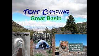 WILD TURKEYS IN GREAT BASIN NP CAMPGROUND - Nevada
