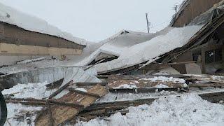 So Much Snow, So Much Destruction // Garden Answer