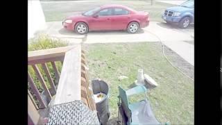 THE REDNECK FILES...VLOG #3...A EASTER EGG HUNTING REDNECK STYLE