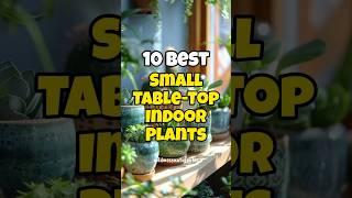 Best small table-top indoor plants for home & office 