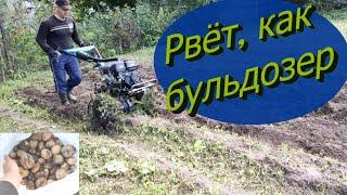 Копка картофеля картофелекопалкой VSP 1-КВ