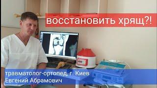 Можно ли восстановить хрящ? Хондропротекторы, физиотерапия, операция, факторы роста, гиалуронка