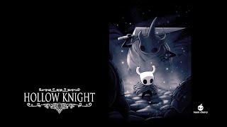 #19 Hollow knight  минус все грязящие