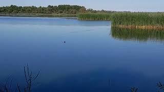 #vlog July 24, 2024, was on a local lake fishing