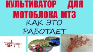 Культиватор-борона для мотоблока МТЗ.Культивация почвы перед вспашкой.