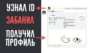 Получить данные о любом пользователе Discord / Бот Franky