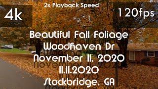 ⁴ᵏ120fps/Hz Video 120Hz Display Tester | Beautiful Fall Foliage On Woodhaven Dr|️Speed To 2x | GA