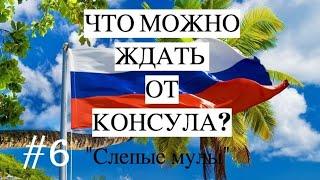 ЧТО МОЖНО ЖДАТЬ ОТ КОНСУЛА? /"Слепые мулы" #6