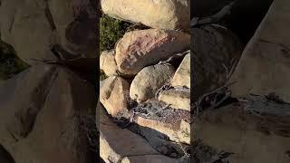ShotByDre rock climbing in the Santa Barbara mountains #1017 #maccritter #northmemphis #shotbydre