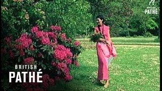 Sound Of Fashion (1967)