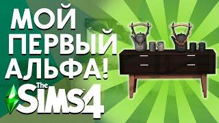 МОЙ ПЕРВЫЙ АЛЬФА КОНТЕНТ - ОБЗОР КОНТЕНТА ДЛЯ THE SIMS 4!