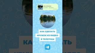 КАК СДЕЛАТЬ КРУЖОК ИЗ ВИДЕО В ТЕЛЕГРАМ (2024) #кружок #видео #телеграмм #telegram