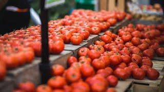 GAIN's Postharvest Loss Alliance for Nutrition (PLAN)