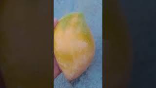 #mango #vido