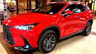 2023 Lexus NX250 Walkaround