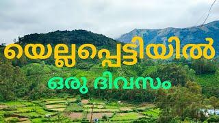 Yellapetty - an agricultural village in Kerala Tamilnadu boarder | Sheji vlogs