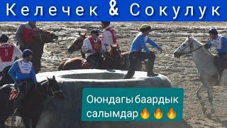 Кокбору 2020/Келечек & Сокулук / Оюндагы салымдар 