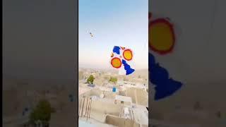 Kites  flying With One hand satisfying #shorts #kiteflying #patangflying #patangbazi #youtubeshorts