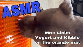 Max Licks | ASMR | Dog Licking Sounds | No Talking