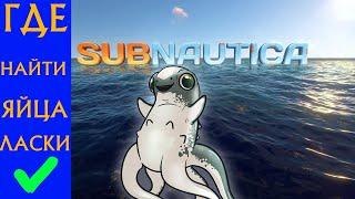 5 мест Где найти яйца ласки в Сабнатике. Subnautica