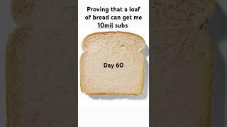 Day 60 #loafofbread