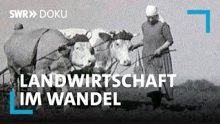 100 Jahre Landwirtschaft im Südwesten - Wie die Technik aufs Land kam | SWR Doku