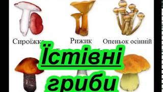 Гриби. Їстівні та отруйні гриби. Відеопрезентація