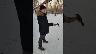 Это не честно синички любят брата больше, чем меня!