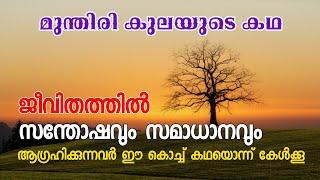 ജീവിതത്തിൽ സന്തോഷവും സമാധാനവും ആഗ്രഹിക്കുന്നവർക്ക് ഈ കഥ ഒരു മാർഗ്ഗമാണ്. മുന്തിരിക്കുലയുടെ കഥ.