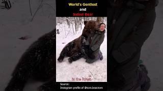 World's Gentlest and Safest Bear