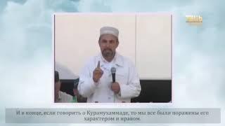 В памяти Курамухаммада хаджи. Алихаджи ад-Дагистани