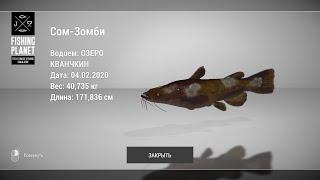 Fishing Planet - Рыбы Монстры: Сом-Зомби (Кванчкин)