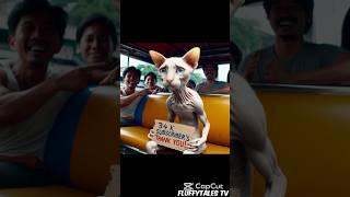They Laughed at This Skinny Cat… Then He Became a Super Cat  | 34K Subs Special! #cat #catshorts