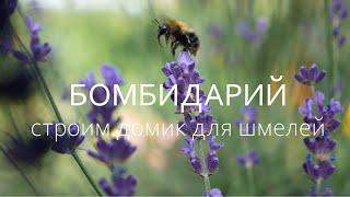 Изготовление улья для шмелей / Бомбидарий /Beehive Bumblebee / Деревообработка