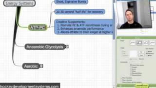 Energy Systems Used in Hockey - Part 1